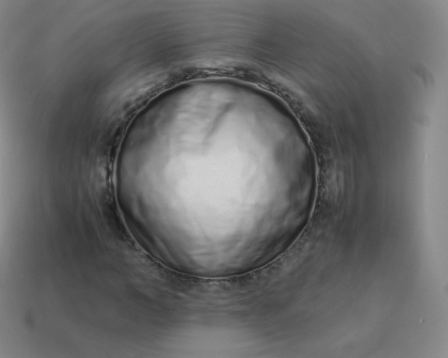 X0000113910966200910081846