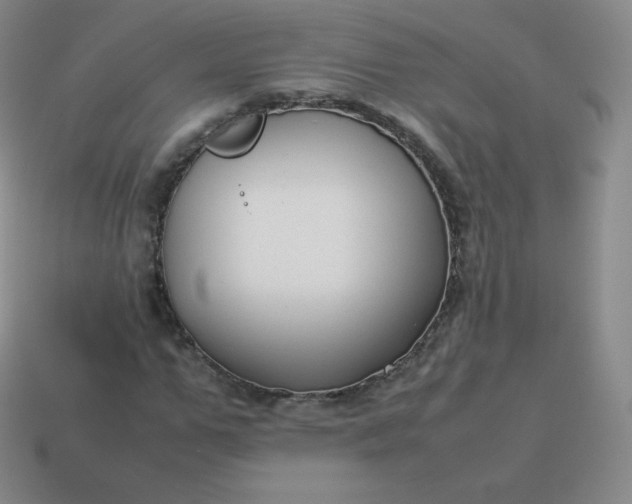 X0000113910967200910081846