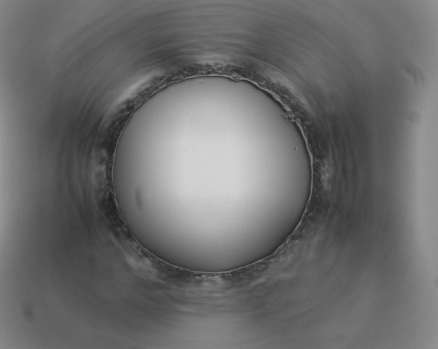 X0000113910968200910081846