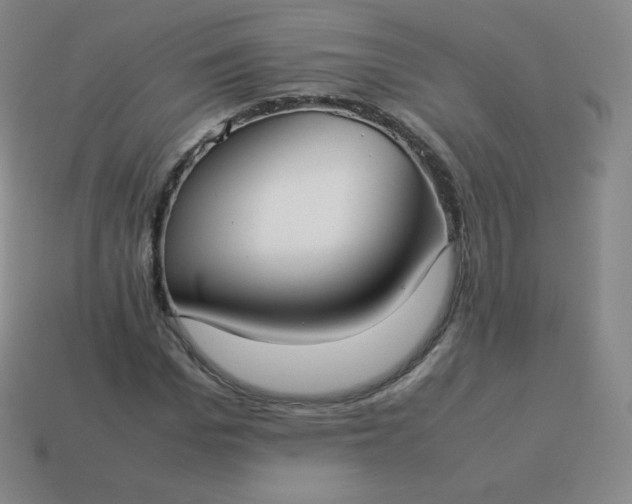 X0000113910969200910081846