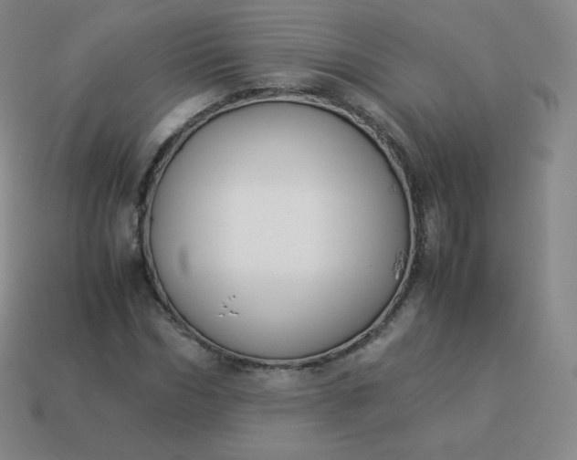 X0000113910970200910081846