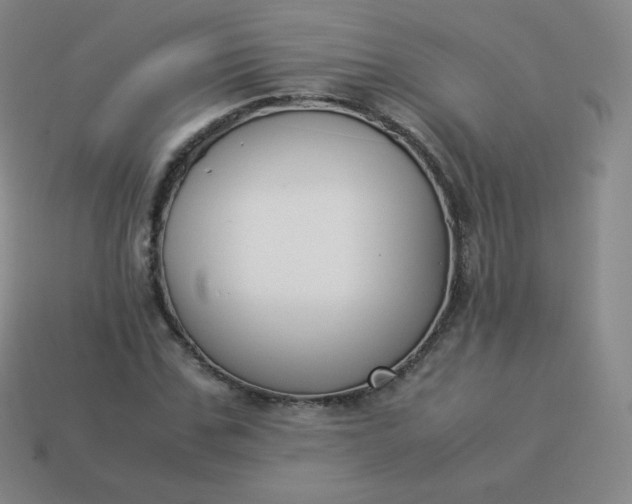 X0000113910971200910081846