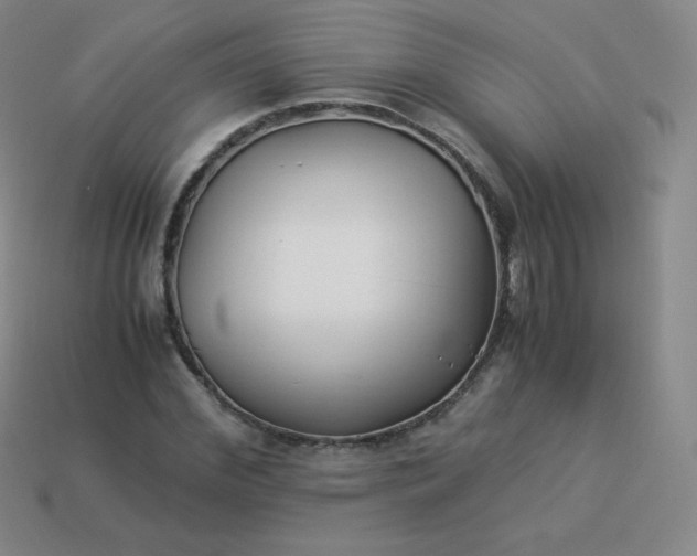 X0000113910972200910081846