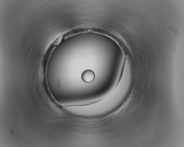 X0000113910973200910081846