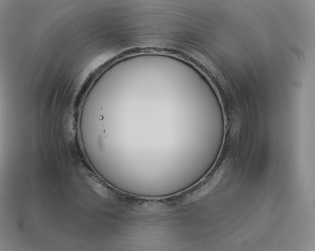 X0000113910974200910081846