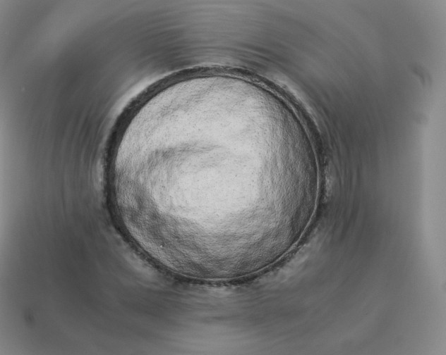 X0000113910975200910081846