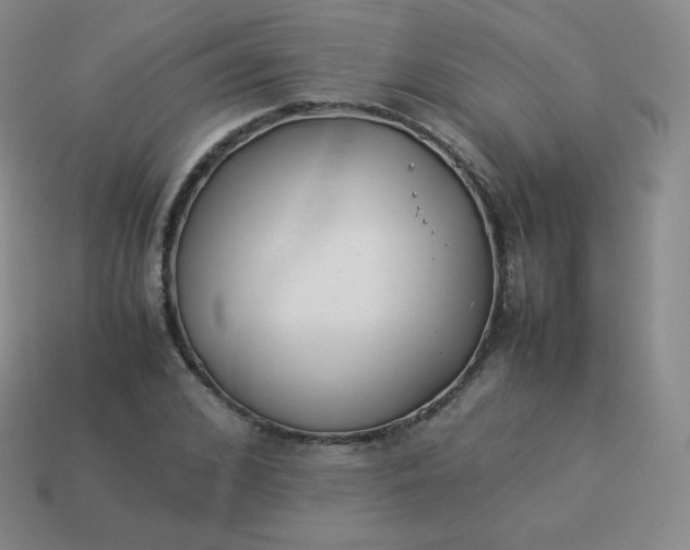 X0000113910976200910081846