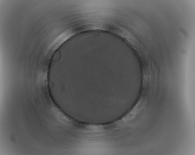 X0000113910977200910081846