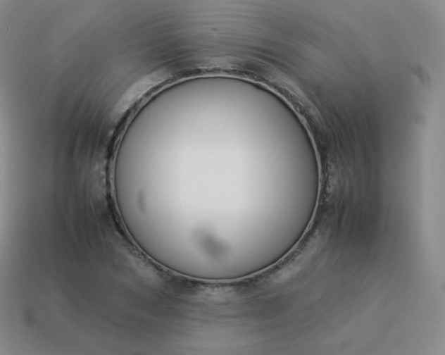 X0000113910978200910081846