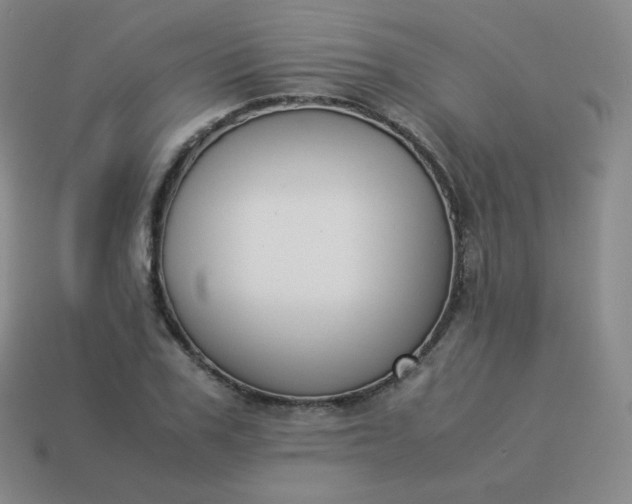 X0000113910979200910081846