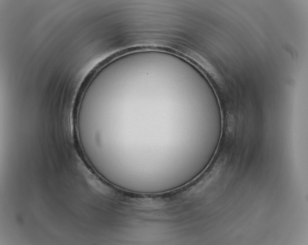 X0000113910980200910081846