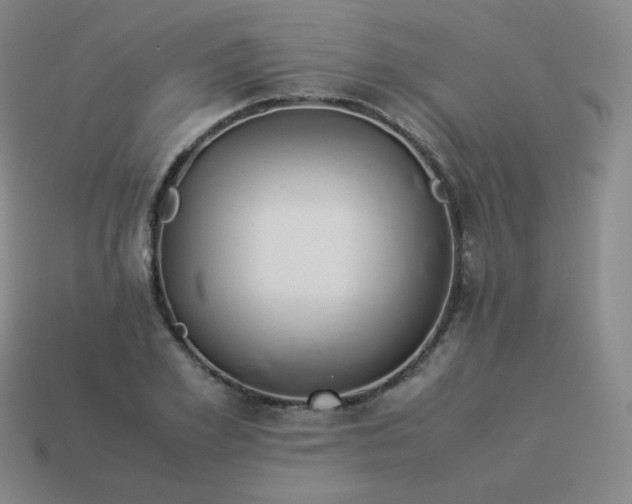 X0000113910981200910081846