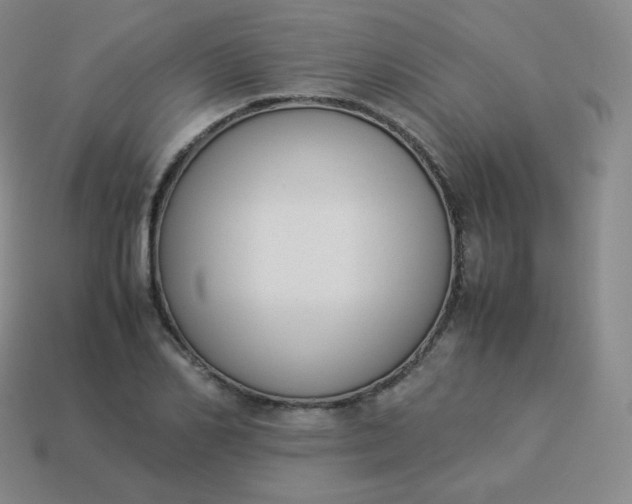 X0000113910982200910081846