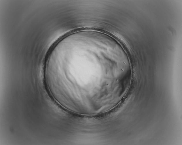 X0000113910983200910081846