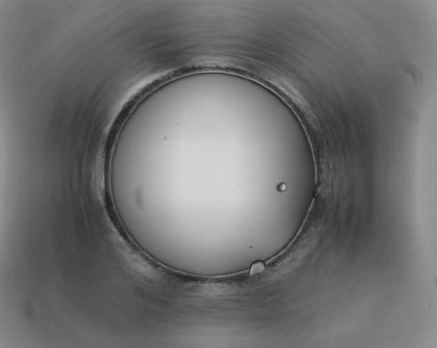 X0000113910984200910081846