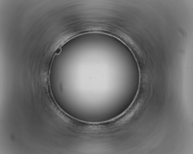 X0000113910985200910081846