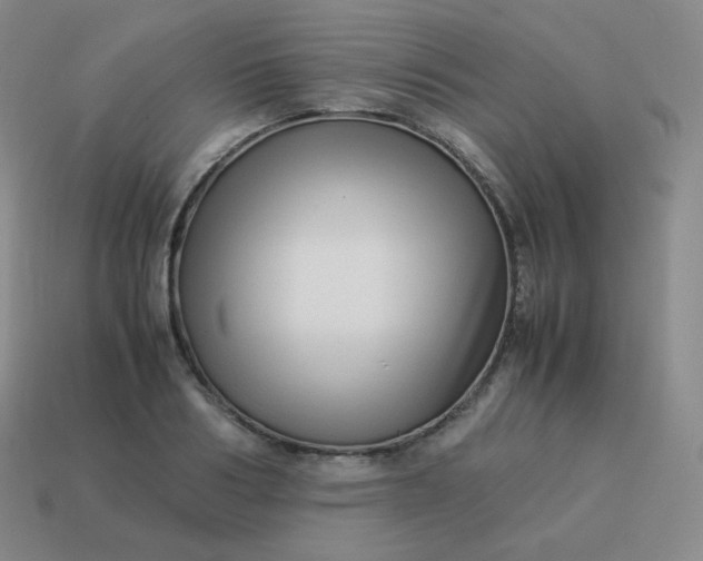 X0000113910986200910081846