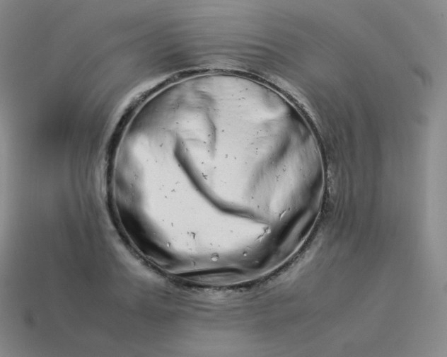 X0000113910987200910081846