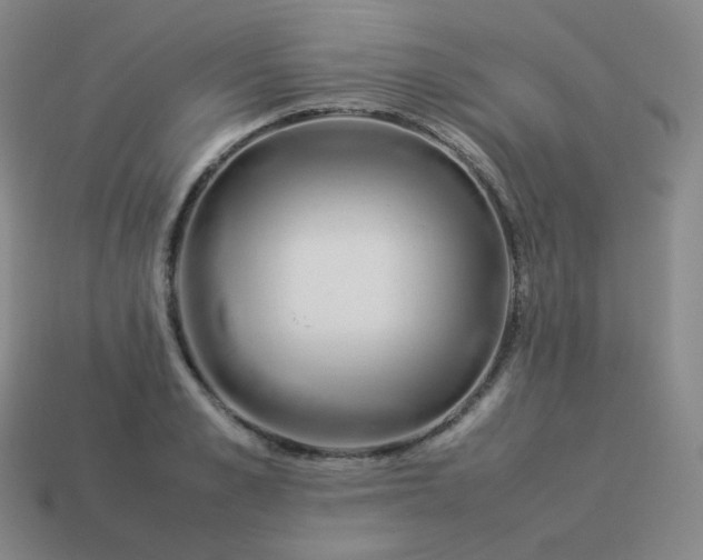 X0000113910989200910081846