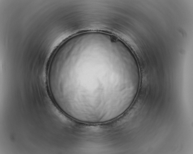 X0000113910990200910081846