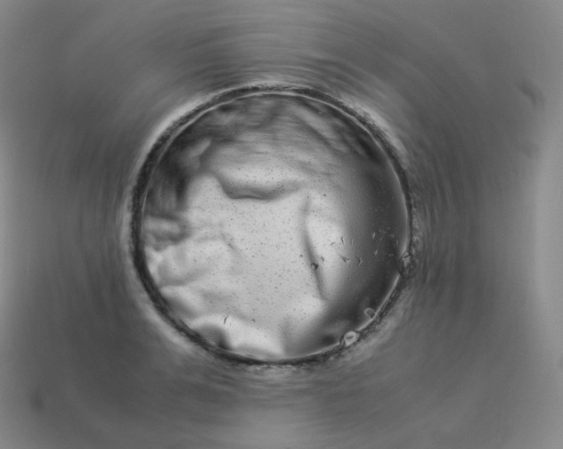 X0000113910991200910081846