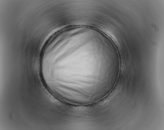 X0000113910992200910081846