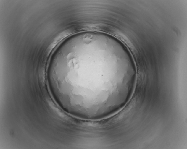 X0000113910994200910081846