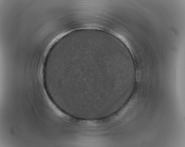 X0000113910995200910081846