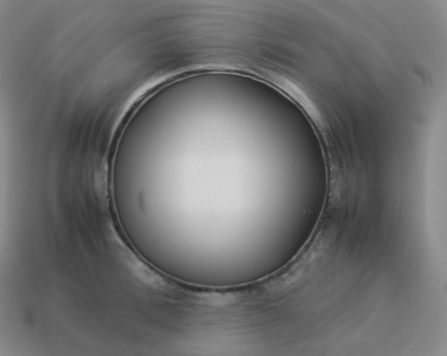 X0000113910996200910081846