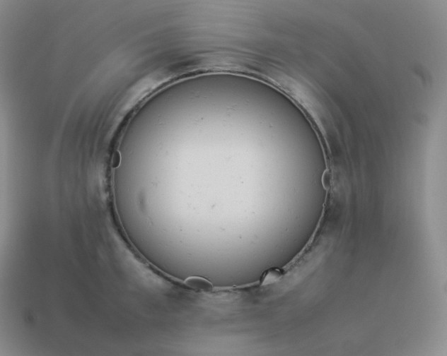 X0000113910997200910081846