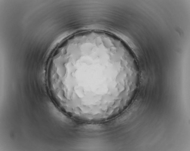 X0000113910998200910081846