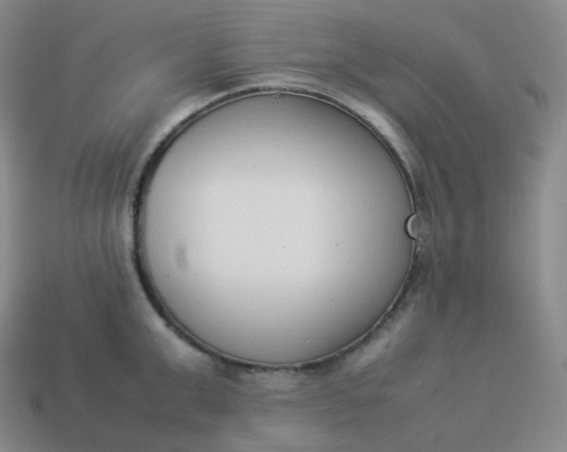 X0000113910999200910081846