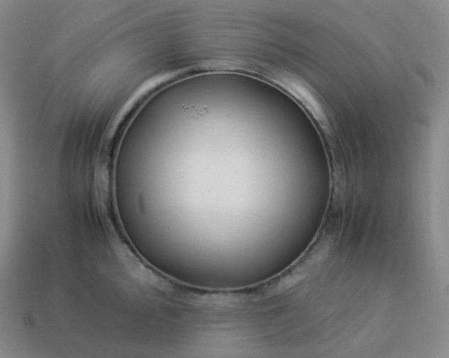 X0000113911000200910081846