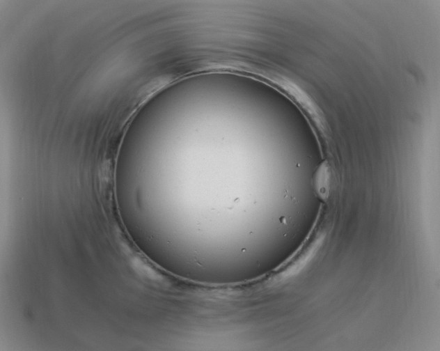 X0000113911001200910081846