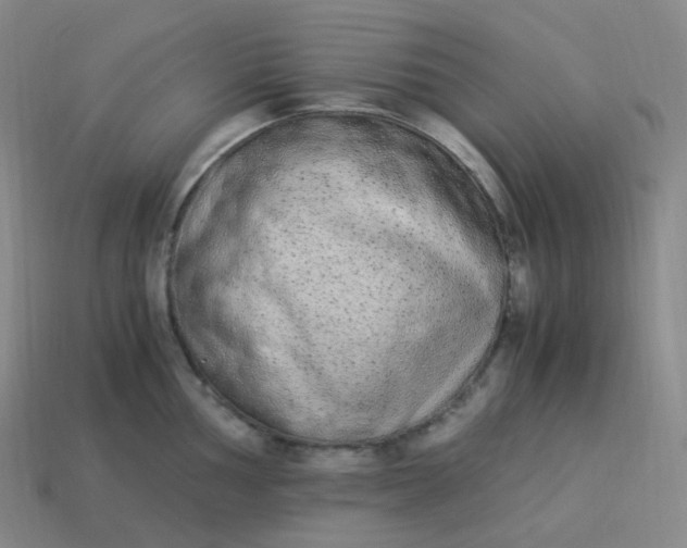 X0000113911002200910081846