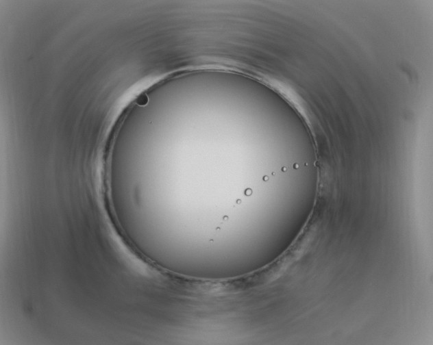 X0000113911003200910081846