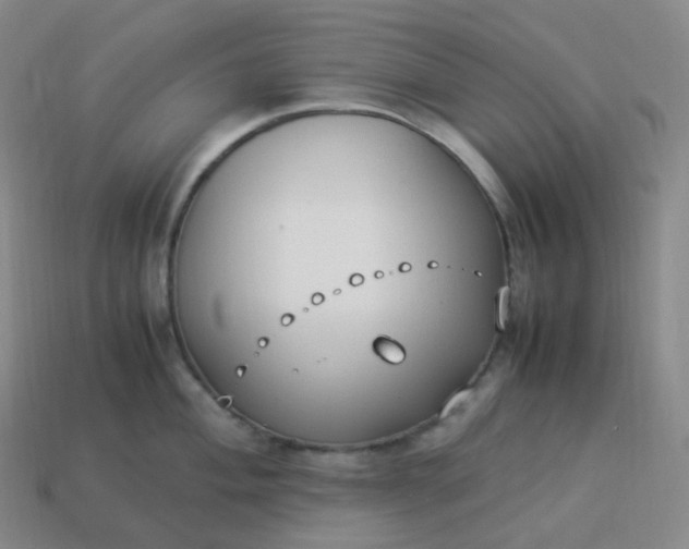 X0000113911004200910081846