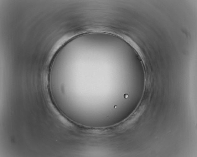 X0000113911005200910081846