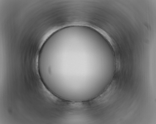 X0000113911006200910081846