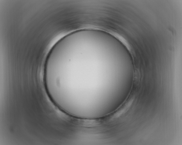 X0000113911007200910081846