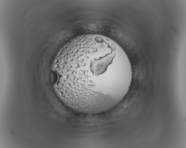 X0000113911009200910081845