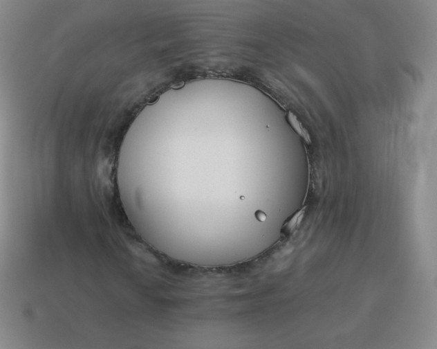 X0000113911010200910081845