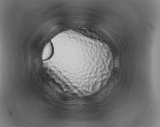 X0000113911011200910081845