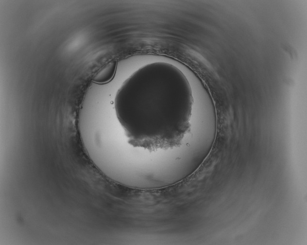 X0000113911013200910081845