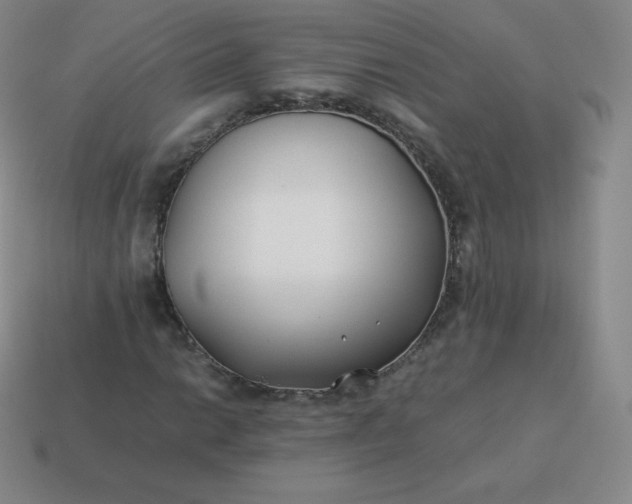 X0000113911014200910081845