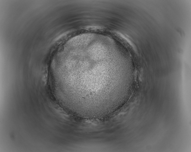 X0000113911015200910081845