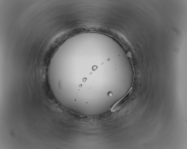 X0000113911016200910081845