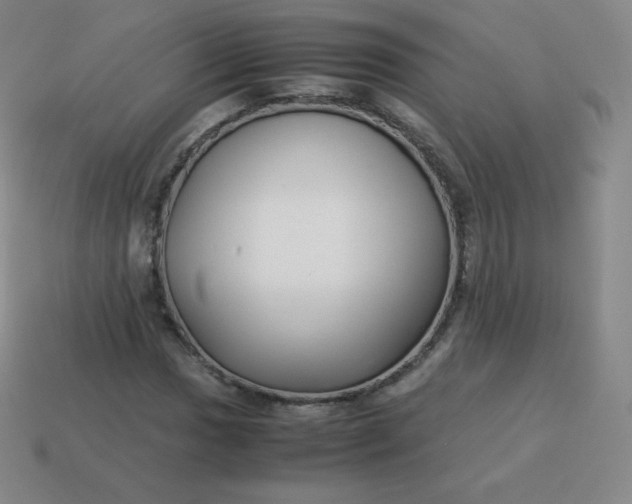 X0000113911017200910081845