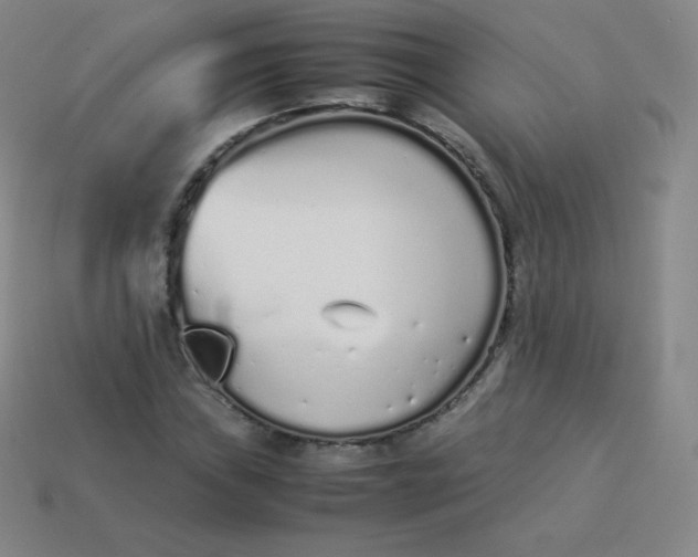 X0000113911019200910081845