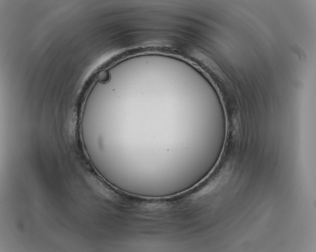 X0000113911021200910081845